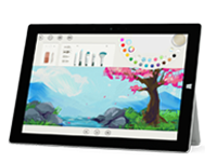 密云Surface 无法开启、Windows 无法启动或电池无法充电